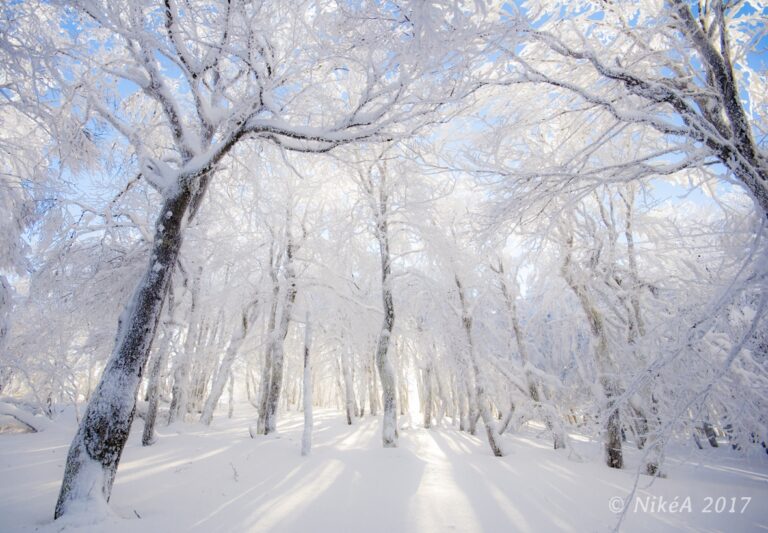 Crete_Hiver_14