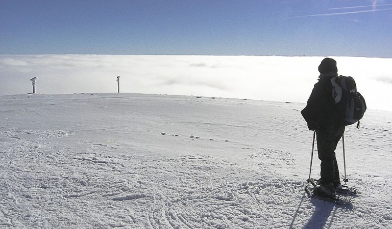 Raquettes à Neige