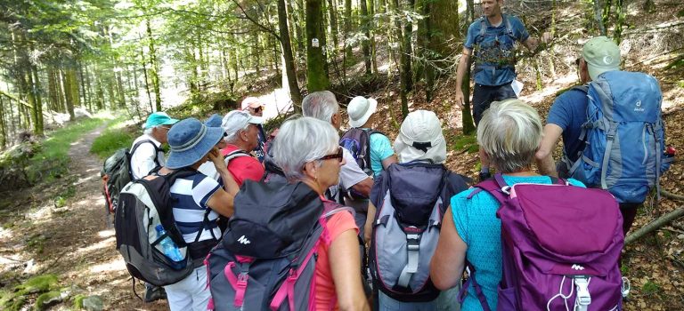 Groupes et associations